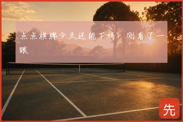 点点棋牌今天还能下吗，刚看了一眼